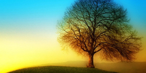 The Angel and The Beloved image only