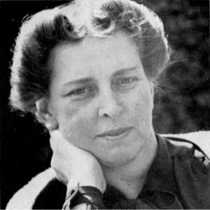 40254431_125062277253