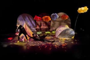 001bf7855338c9acd851