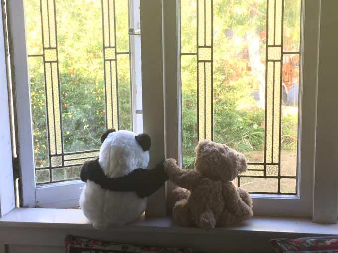 90920034_10222234352667239_5740993831495532544_n