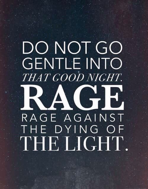 92132165_3327428937285336_7234761544121188352_n